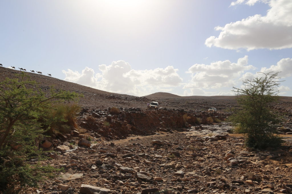 circuits-raids-ouarzazate-ou-agadir-2 circuits-raids-ouarzazate-ou-agadir-2